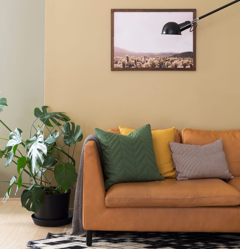 butinox-maling-farge-dijon-happyhomes